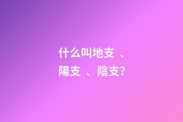 什么叫地支、陽支、陰支？
